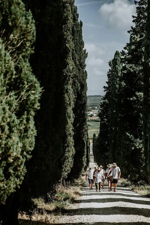 The Hunter House Villa Castelfiorentino Italy