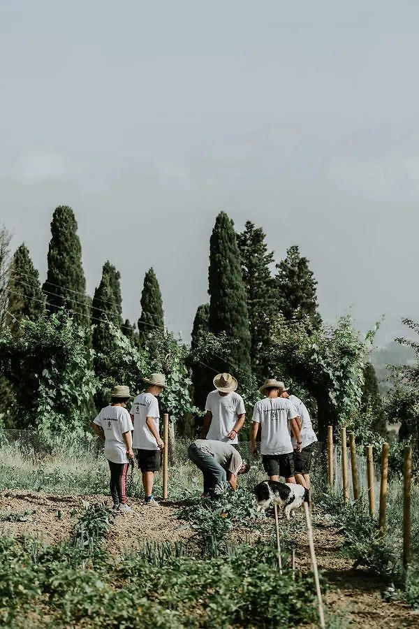The Hunter House Villa Castelfiorentino Holiday home