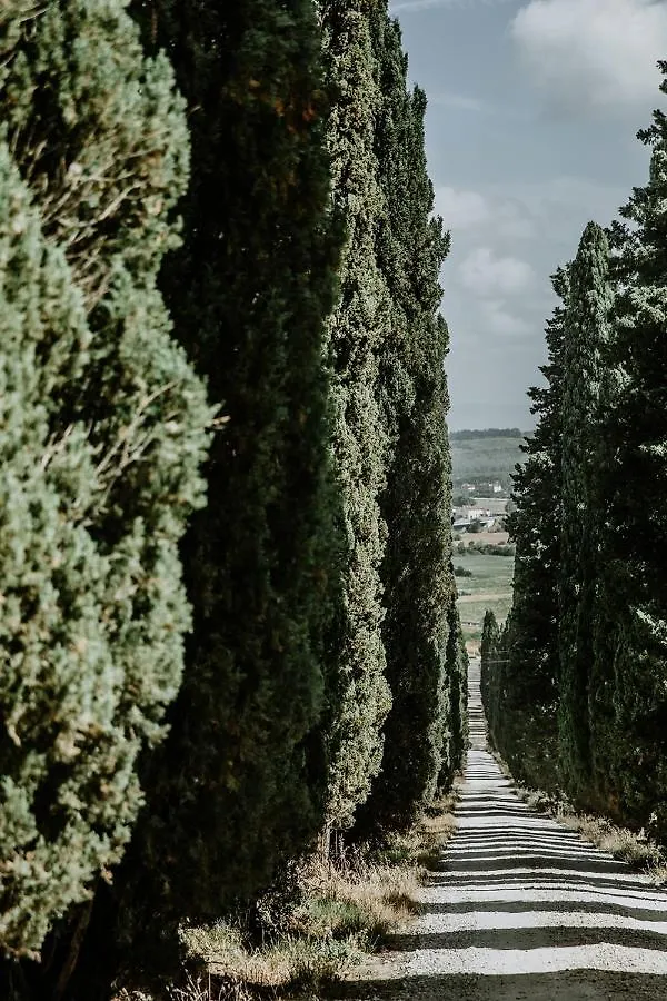 The Hunter House Villa Castelfiorentino Holiday home