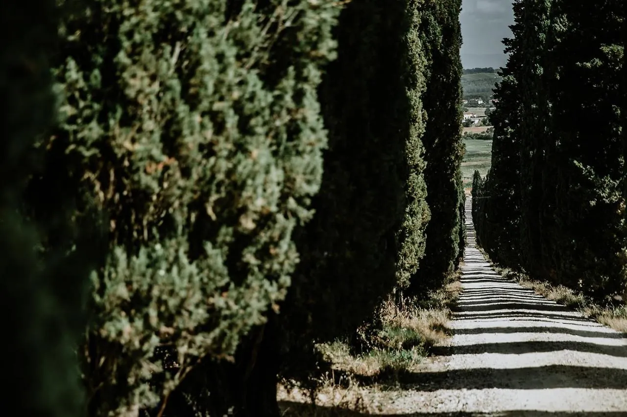 The Hunter House Villa Castelfiorentino Italy