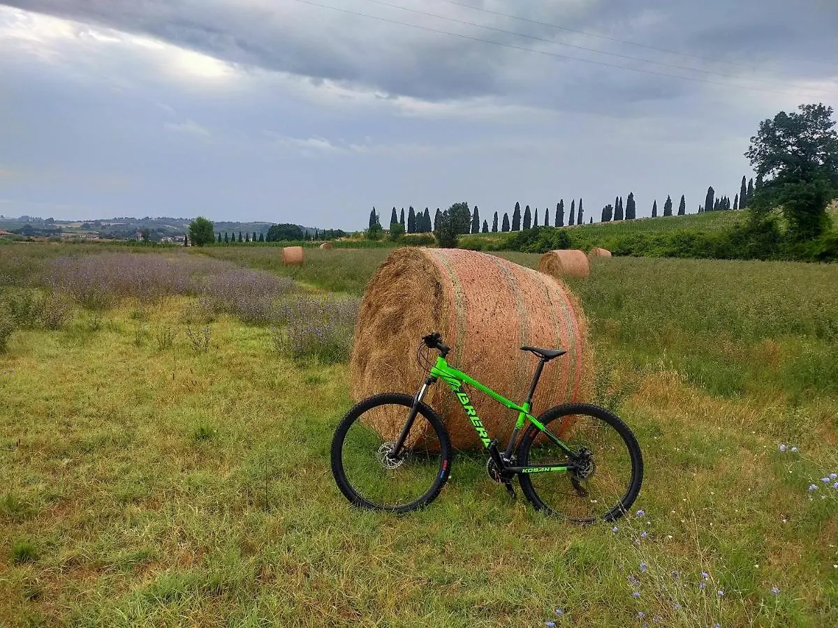 Holiday home The Hunter House Villa Castelfiorentino